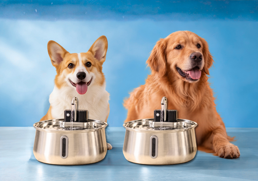 Barlow™ Water Fountain